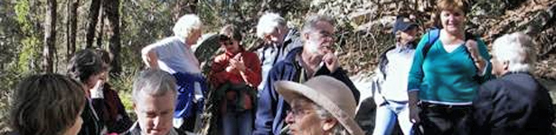 Bushwalking Group